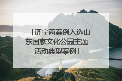 济宁两案例入选山东国家文化公园主题活动典型案例