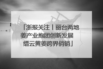 浙报关注丨丽台两地姜产业抱团创新发展 缙云黄姜跨界俏销