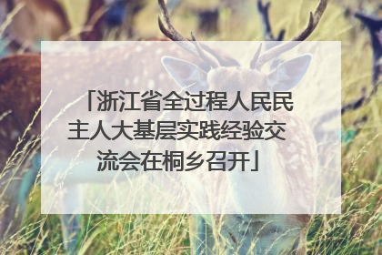 浙江省全过程人民民主人大基层实践经验交流会在桐乡召开