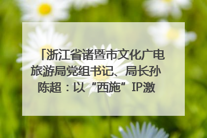 浙江省诸暨市文化广电旅游局党组书记、局长孙陈超：以“西施”IP激活全域旅游 打造县域文旅融合新标杆｜第七届全国县域旅游研究成果发布系列活动