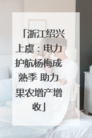 浙江绍兴上虞：电力护航杨梅成熟季 助力果农增产增收