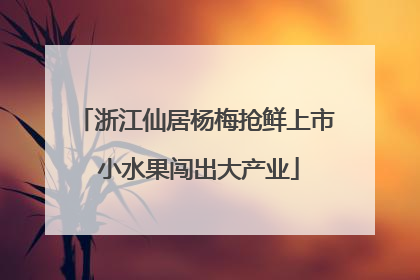 浙江仙居杨梅抢鲜上市 小水果闯出大产业