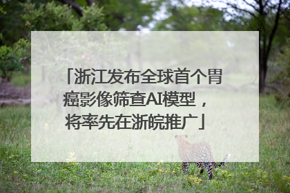 浙江发布全球首个胃癌影像筛查AI模型，将率先在浙皖推广