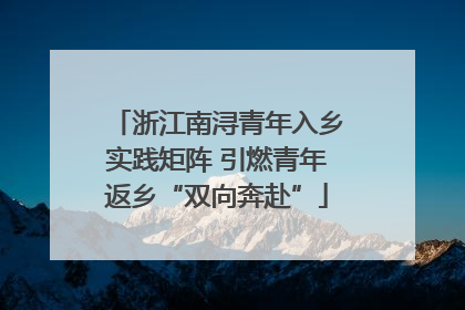 浙江南浔青年入乡实践矩阵 引燃青年返乡“双向奔赴”