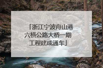 浙江宁波舟山港六横公路大桥一期工程建成通车
