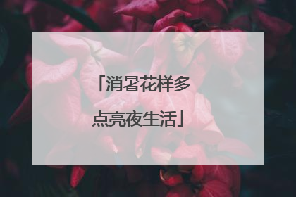 消暑花样多 点亮夜生活