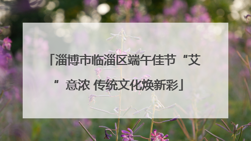 淄博市临淄区端午佳节“艾”意浓 传统文化焕新彩