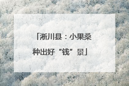 淅川县：小果桑种出好“钱”景