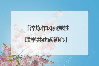 淬炼作风强党性 联学共建砺初心