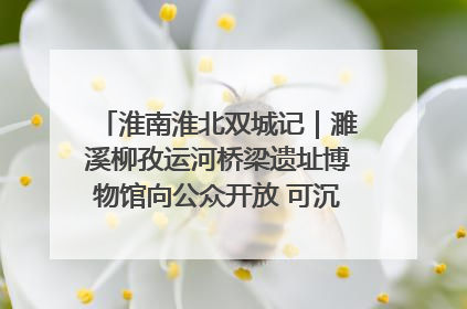 淮南淮北双城记｜濉溪柳孜运河桥梁遗址博物馆向公众开放 可沉浸式触摸历史
