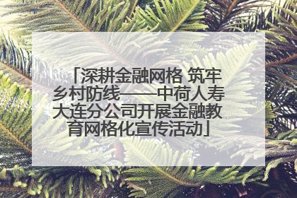深耕金融网格 筑牢乡村防线——中荷人寿大连分公司开展金融教育网格化宣传活动