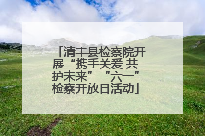 清丰县检察院开展“携手关爱 共护未来”“六一”检察开放日活动