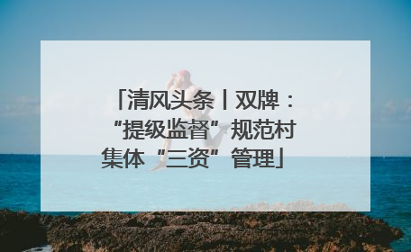 清风头条丨双牌：“提级监督”规范村集体“三资”管理