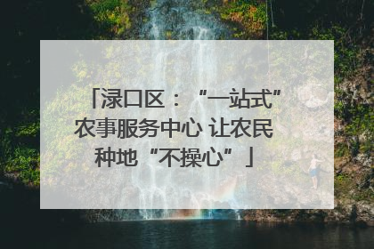 渌口区：“一站式”农事服务中心 让农民种地“不操心”