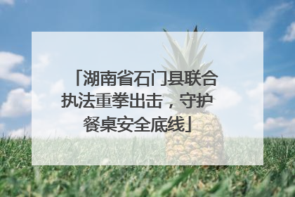 湖南省石门县联合执法重拳出击，守护餐桌安全底线