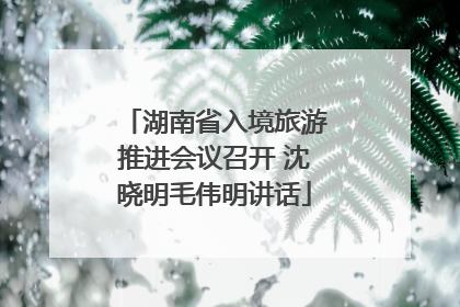 湖南省入境旅游推进会议召开 沈晓明毛伟明讲话
