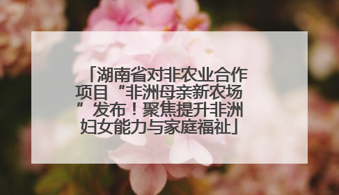 湖南省对非农业合作项目“非洲母亲新农场”发布！聚焦提升非洲妇女能力与家庭福祉