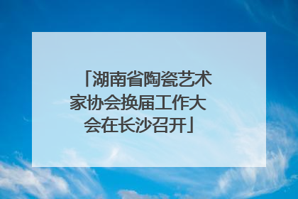 湖南省陶瓷艺术家协会换届工作大会在长沙召开