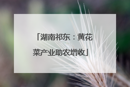 湖南祁东：黄花菜产业助农增收