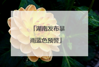 湖南发布暴雨蓝色预警
