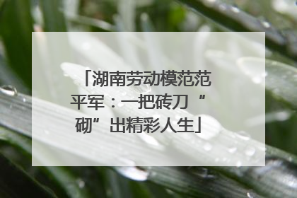 湖南劳动模范范平军：一把砖刀“砌”出精彩人生