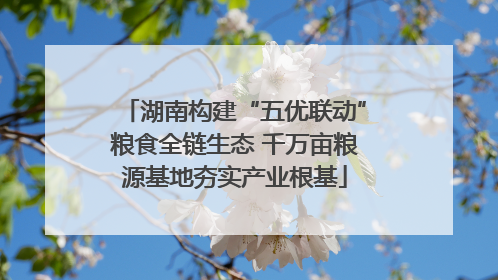 湖南构建“五优联动”粮食全链生态 千万亩粮源基地夯实产业根基