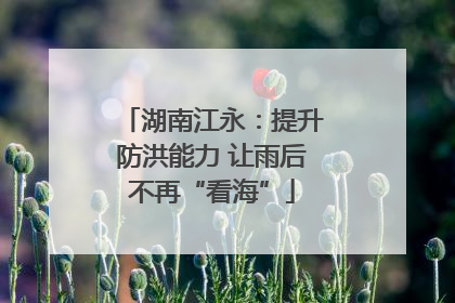 湖南江永：提升防洪能力 让雨后不再“看海”