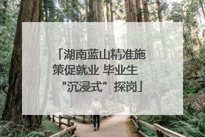 湖南蓝山精准施策促就业 毕业生“沉浸式”探岗