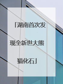 湖南首次发现全新世大熊猫化石