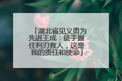 湖北省见义勇为先进王成：徒手握住利刃救人，这是我的责任和使命
