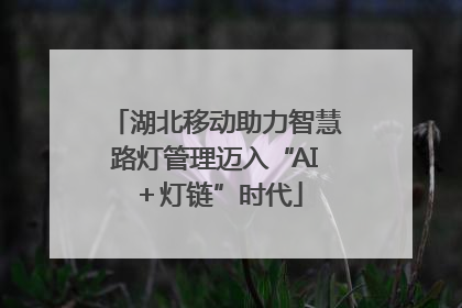湖北移动助力智慧路灯管理迈入“AI＋灯链”时代