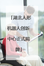 湖北人形机器人创新中心正式揭牌