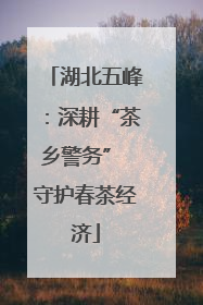湖北五峰：深耕“茶乡警务” 守护春茶经济