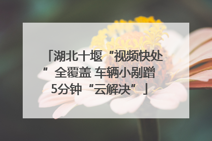 湖北十堰“视频快处”全覆盖 车辆小剐蹭5分钟“云解决”