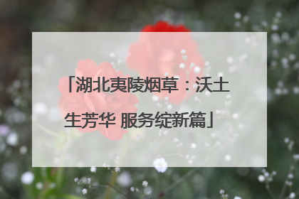 湖北夷陵烟草：沃土生芳华 服务绽新篇