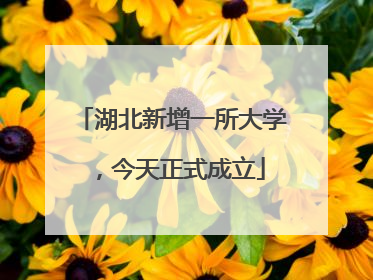 湖北新增一所大学，今天正式成立