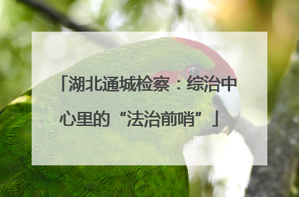 湖北通城检察：综治中心里的“法治前哨”