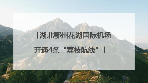 湖北鄂州花湖国际机场开通4条“荔枝航线”