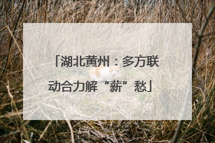 湖北黄州：多方联动合力解“薪”愁