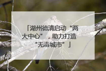 湖州德清启动“两大中心”，助力打造“无毒城市”