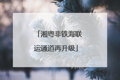 湘粤非铁海联运通道再升级
