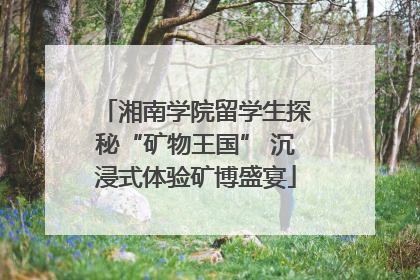 湘南学院留学生探秘“矿物王国” 沉浸式体验矿博盛宴