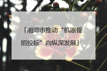 湘潭市推动“机器管招投标”向纵深发展