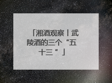 湘酒观察丨武陵酒的三个“五十三 ”
