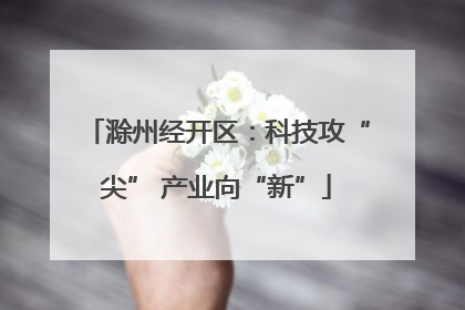 滁州经开区：科技攻“尖” 产业向“新”