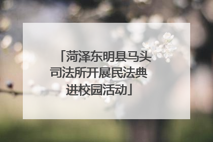 菏泽东明县马头司法所开展民法典进校园活动