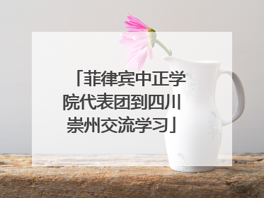 菲律宾中正学院代表团到四川崇州交流学习