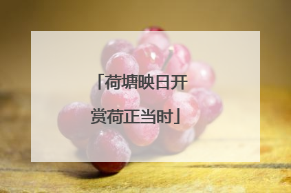 荷塘映日开 赏荷正当时