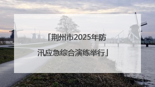 荆州市2025年防汛应急综合演练举行