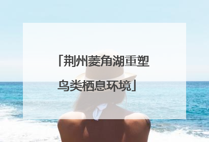荆州菱角湖重塑鸟类栖息环境